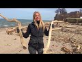 Turning Driftwood Into Wall Art - Designing For Wellness - Susie Frazier