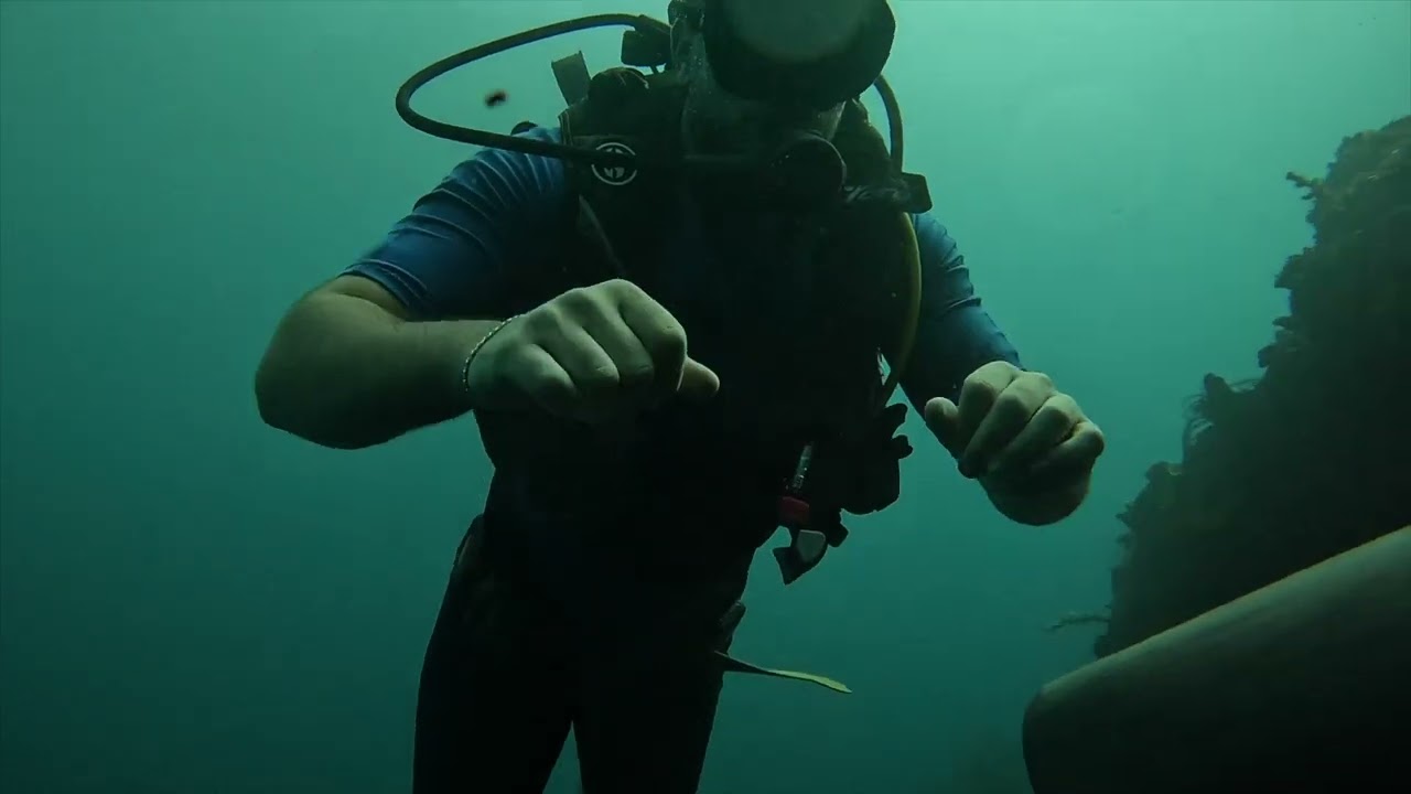 Fun Dives Dorsa & Nadim Amed Bali Abyss