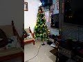 Christmas Tree Bomb Tiktok Video