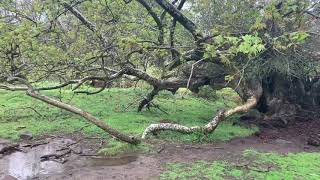 Twisselman-Alberti Ranch - San Luis Obispo, CA For Sale