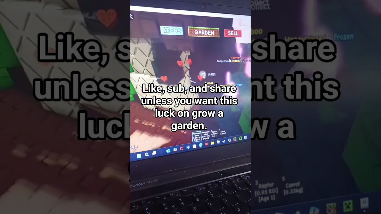 Grow a garden #roblox #garden #gardening #growagarden #grow #growing #fypage #fypシ゚viral #gag #fyp