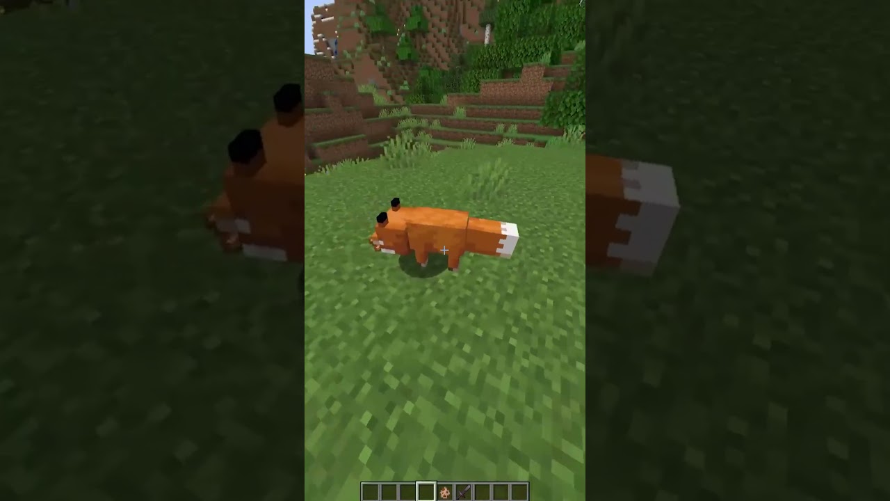 5 Minecraft FACTS No One Knows About! 