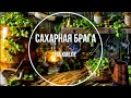 Сахарная брага на хмеле.