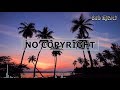 |Tropical House| Extenz - Gravity | No Copyright Music