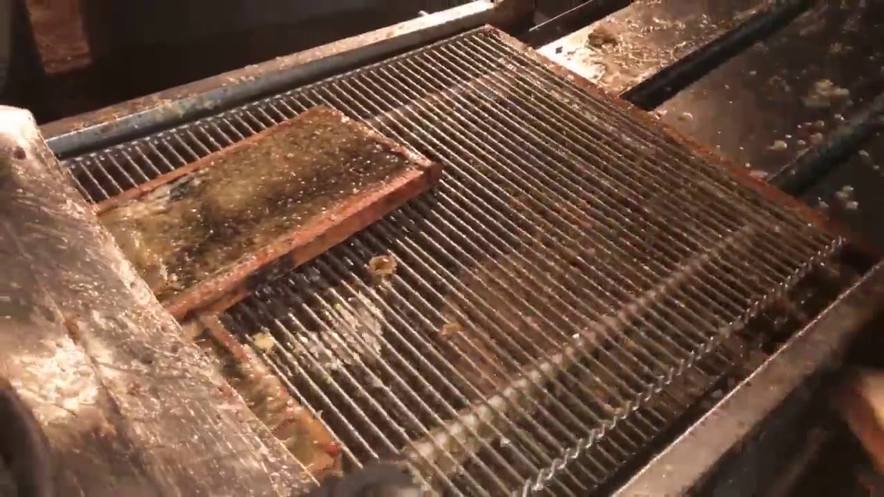 extracting fresh orange blossom honey Sweet Bee Honey Farm