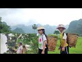 He works as a gardener - his two grandchildren harvest fruit to sell