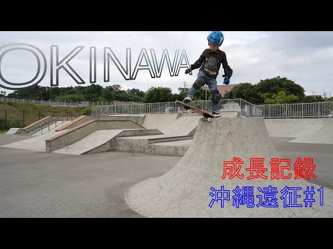 スケボー 中 年 スケボー 中 年