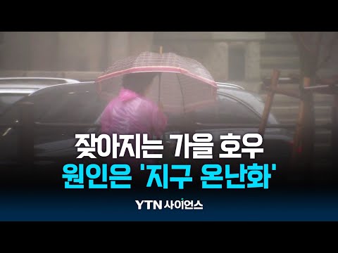 밤새 130mm 퍼부었다...온난화로 잦아진 '가을 호우' | 과학뉴스 24.10.23