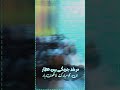 عطار ہمارے مرشد ہیں ہم خوش نصیب ہیں