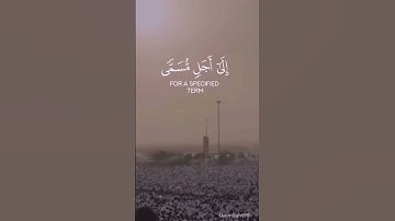 #سورة_الحج #اسلام_صبحي #القرآن_الكريم #المصحف #اكسبلور #راحة_نفسية #muslim #الحج #عرفة #عيد