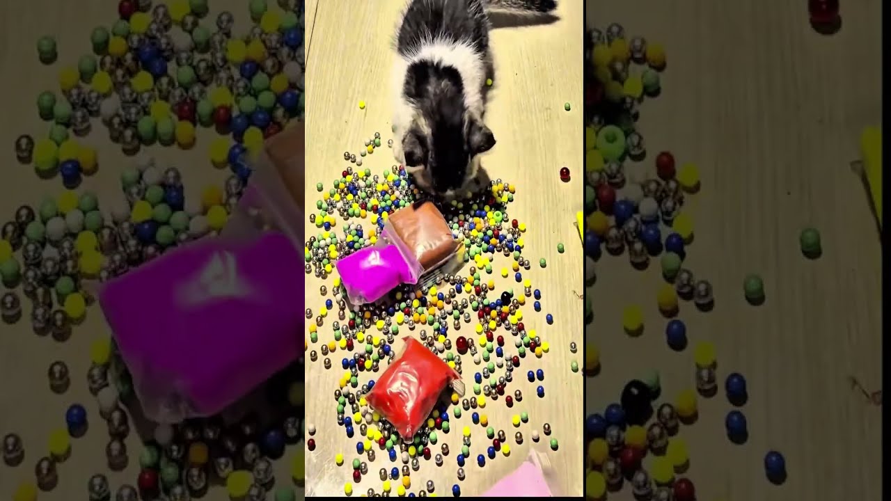 Satisfying Reverse Video ASMR 💥  