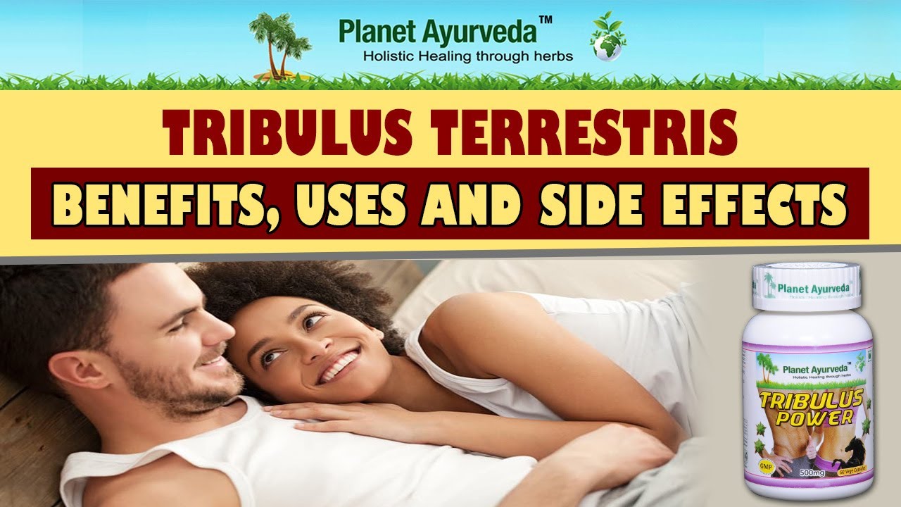 Tribulus Terrestris Benefits, Uses and Side Effects Tribulus Power YouTube
