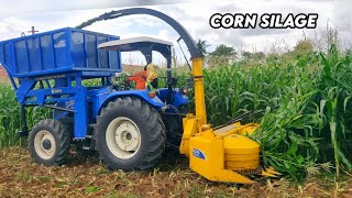 Corn Silage | New Holland 9010 | Santhosh Agro Multi crop Chopper | Best cattle feed