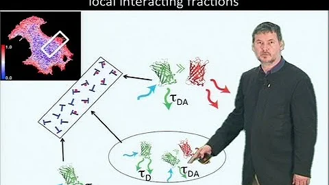 Microscopy: Fluorescence Lifetime Imaging Microscopy (FLIM) (Philippe Bastiaens)