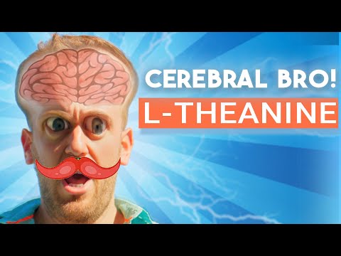 L-Theanine and Nootropics (2024) | Eliminate Stress and Anxiety