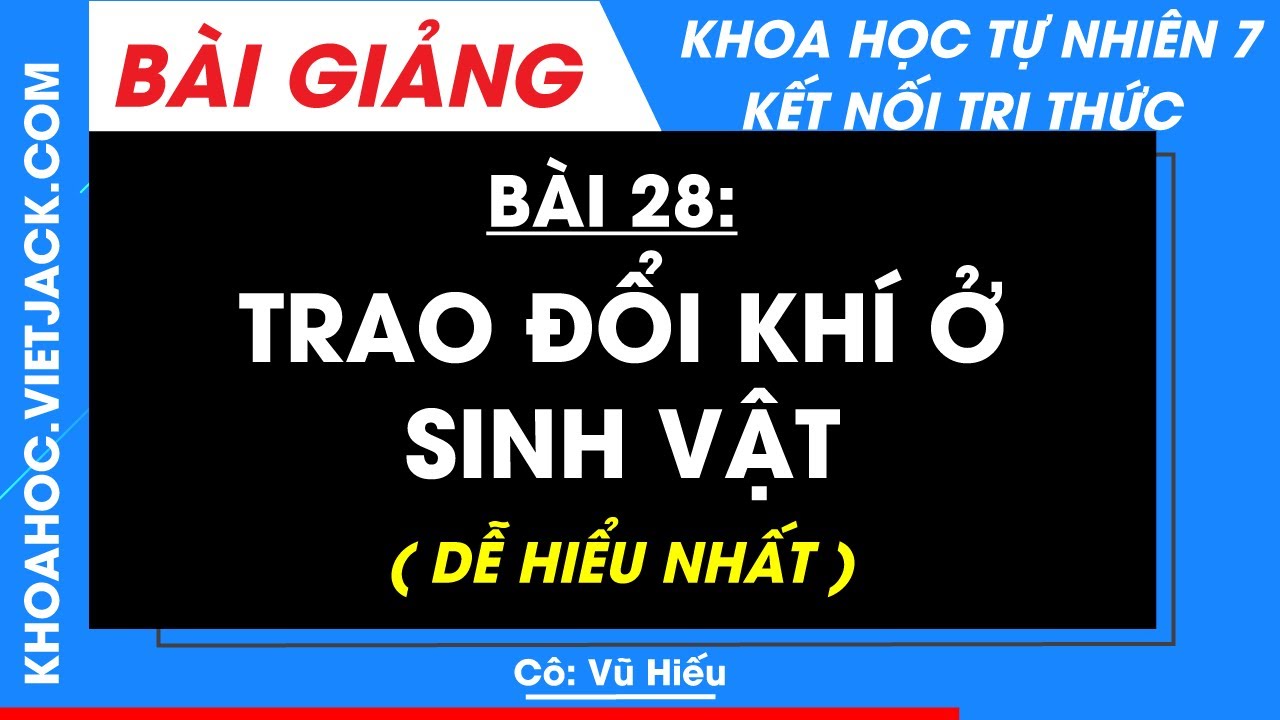 Khoa học tự nhiên 7 Bài 28: Trao đổi khí ở sinh vật | Kết nối tri thức (DỄ HIỂU NHẤT)