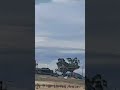 Veolia's possible 71110?
