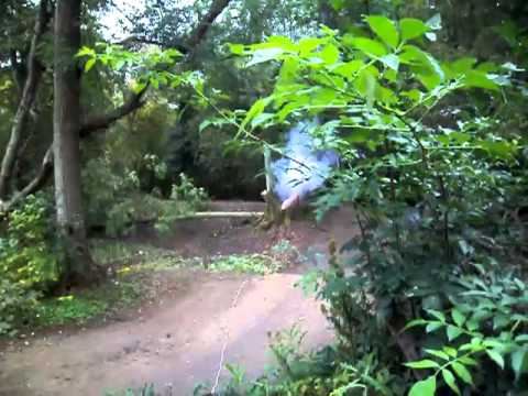 Large Pipe Bomb vs Tree