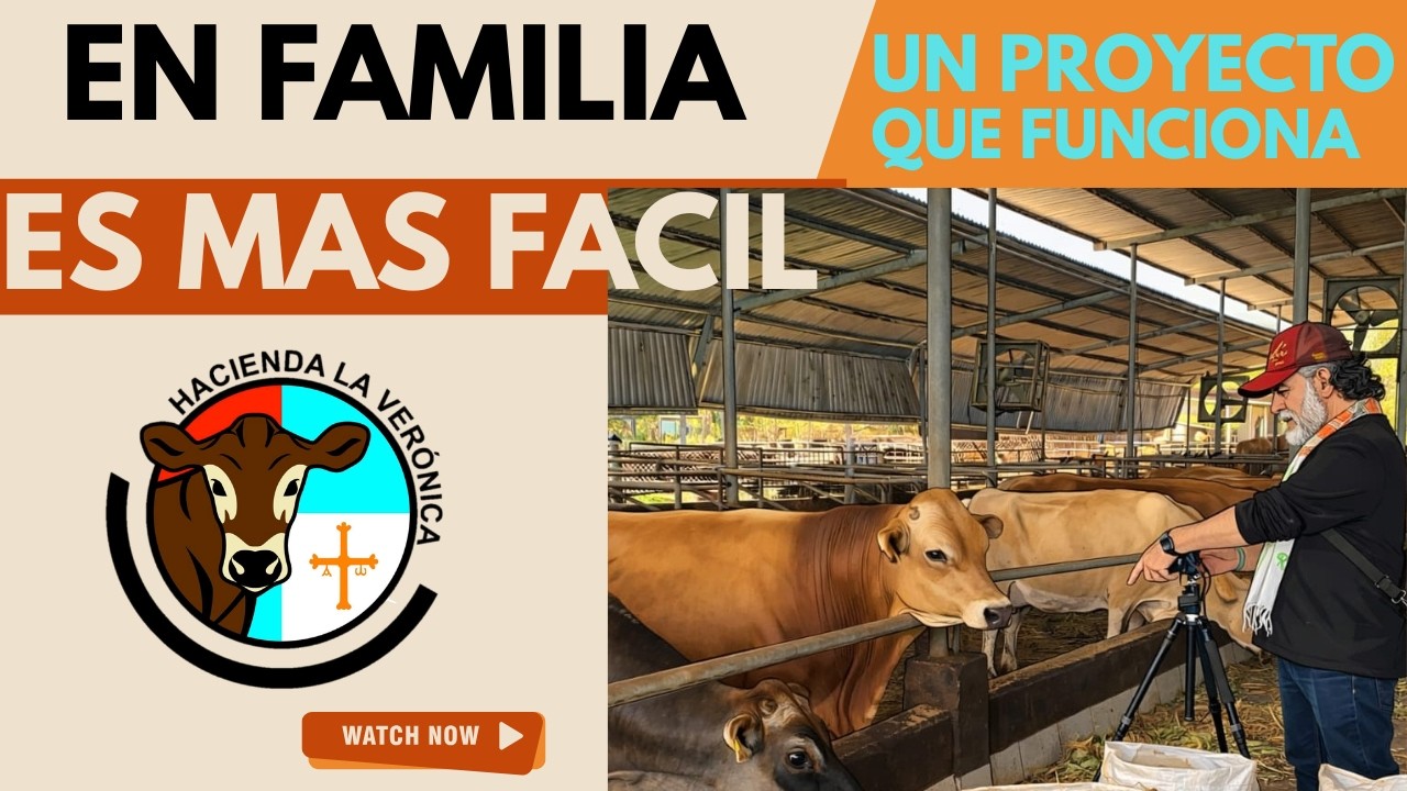 TRES RAZAS HACEN PARTE DE ESTE RENTABLE NEGOCIO GANADERO