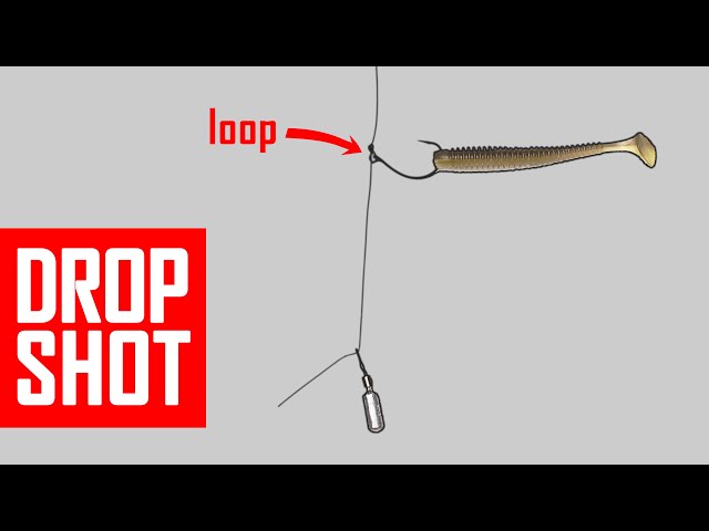 How to tie improved DROPSHOT rig? It will catch more fish! Lure