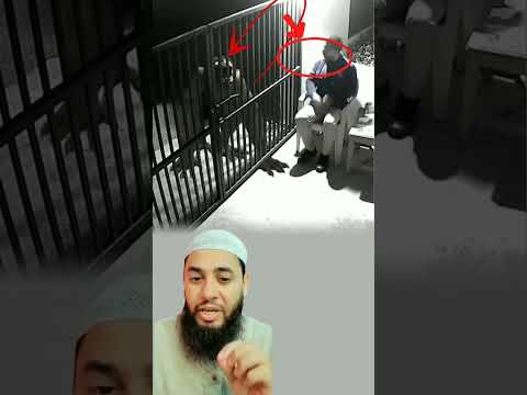 نام الشرطي مطمئنا لكن كائنا غريبا ظهر فجأة يحيط به بنظرات لا ت فهم وكأنه يبحث عن شيء ضائع