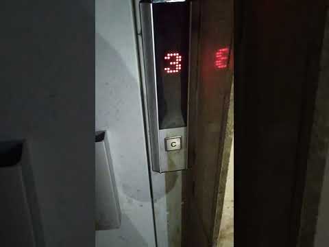 Horror Elevator