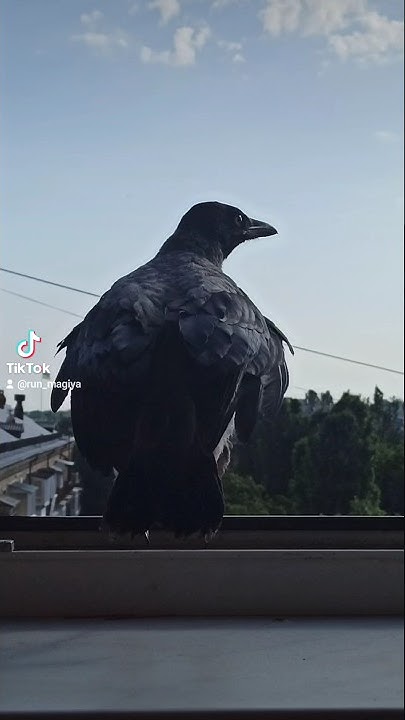 Ведьмы и колдуны... - YouTube