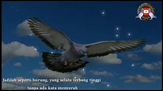 story wa Kata bijak Merpati // Burung Dara