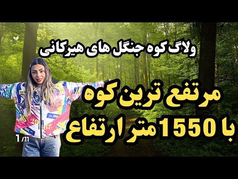 افراتخته جنگلی که باید ببینید  
