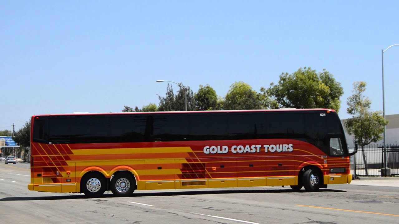 tour bus in gold coast