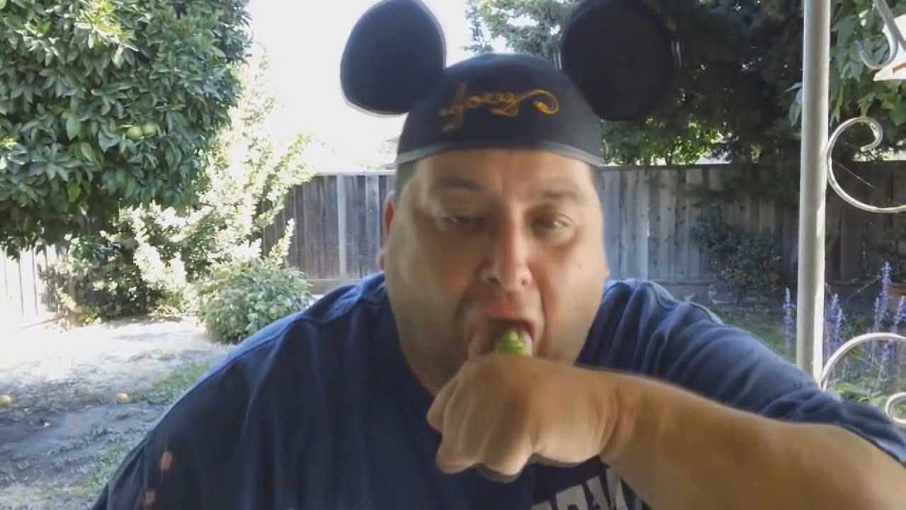 Joeysworldtour wasabi remix meme youtube
