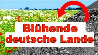 Blühende Deutsche Lande