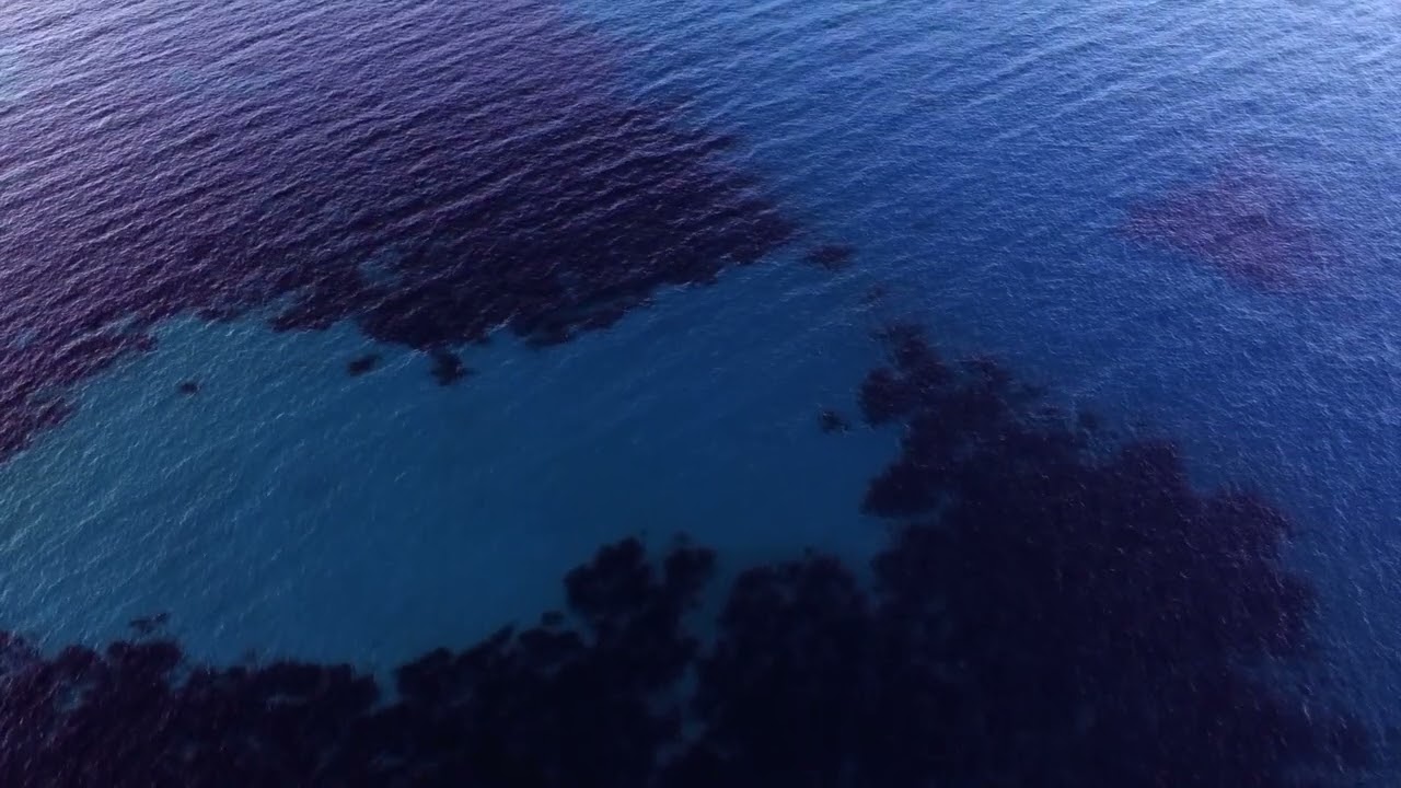 Blank & Jones x Marcus Loeber -  "Le Grand Bleu (Cinematic Sunset Mix)" Official Video