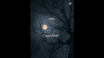 سورة الواقعة #الواقعة #المصحف #اكسبلور #لايك #قرآن  قران كريم