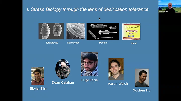 2021 Genetics Society of America Medal: Douglas Ko...