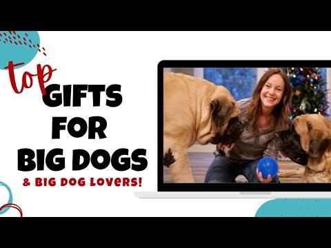 Vídeo: Ultimate Holiday Gift Guide para amantes do cão