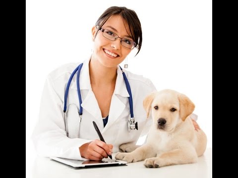 school-counselor|-counselor-salary-|-school-counselor-salary-|-mental-health-resume