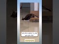 وقتی به خواهرم میگم پاشو ظرفا رو بشور کلیپ طنز کلیپ خنده دار ترند وقتی به خواهرم میگم پاشو ظرفا رو بشور کلیپ طنز کلیپ خنده دار ترند