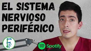 Sistema nervioso Periférico | Parte 1