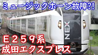 ミュージックホーン故障？！盛大な警笛で発車！E259系「成田エクスプレス」