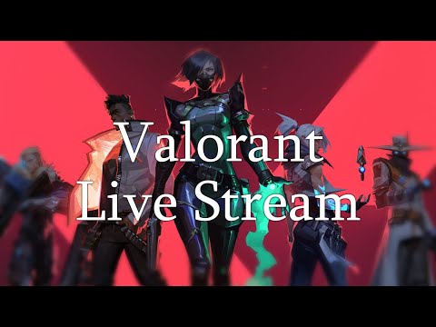 Valorant Live Stream ახალი გარემო ახალი ნუბები