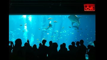 RFD40 SerialCom Via USB