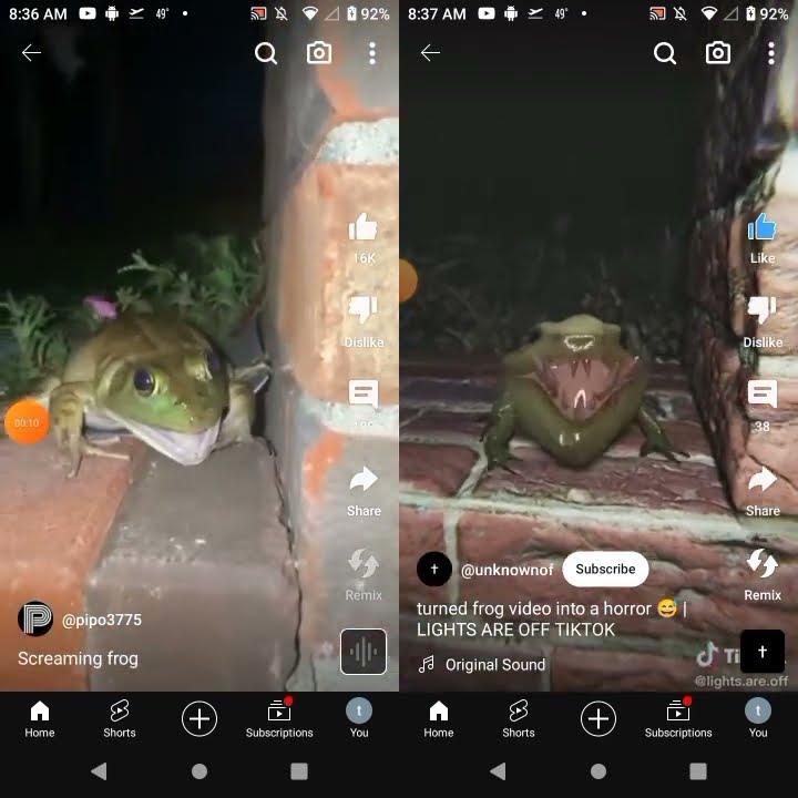 Screaming Frogs 🐸