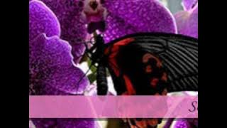 BERKAT KASIHMU..UKAYS