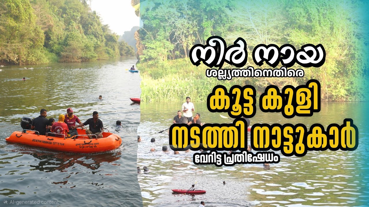 നീർനായയെ ഓടിക്കാൻ കൂട്ട കുളി | ഞെട്ടിക്കുന്ന ദൃശ്യങ്ങൾ | പുഴയിലിറങ്ങി ഒരു നാട് മുഴുവൻ