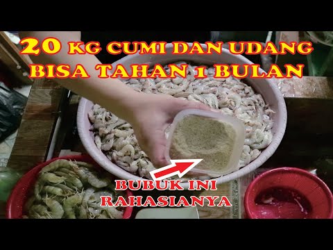 Cumi goreng tepung, biasanya umum di jual di restoran seafood. masuk dalam daftar menu favorit kelua. 