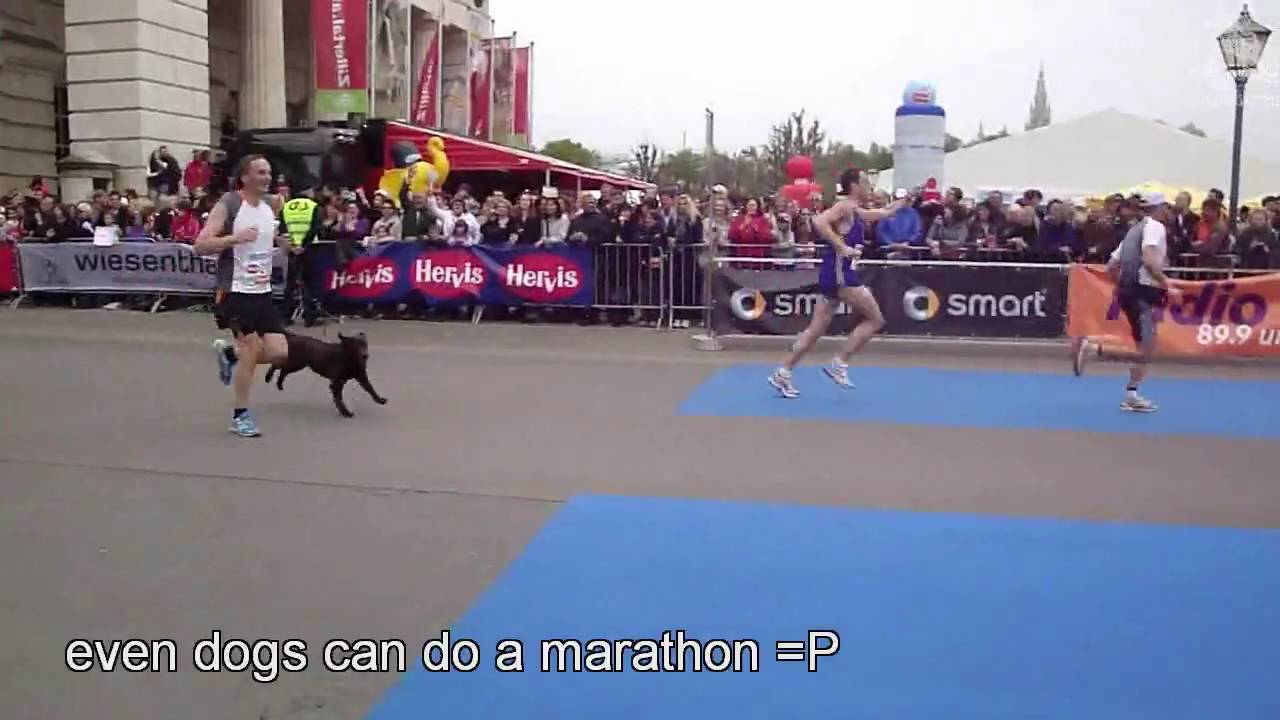 Marathon Doggy