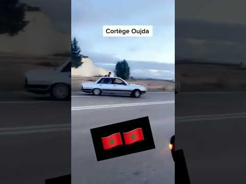 وجدة مغنية 505