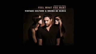 Phonique: Feel What You Want feat. Rebecca (Vintage Culture & Bruno Be Remix)