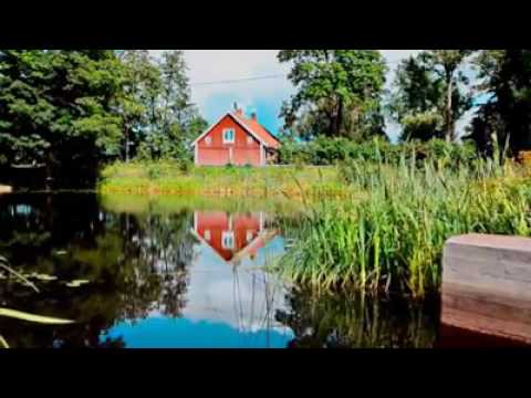 ايمن الشويكي صوت الحبيبه